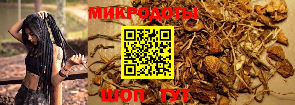 Славгород  Псилоцибиновые грибы Psilocybe  Галлюциногенные грибы GOLDEN TEACHER  Вход с VPN 